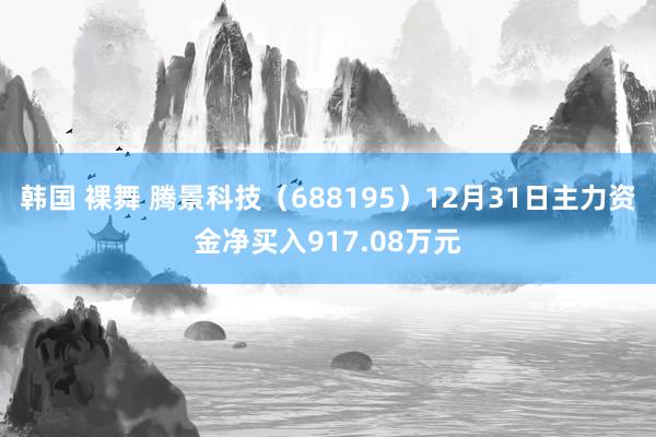 韩国 裸舞 腾景科技（688195）12月31日主力资金净买入917.08万元