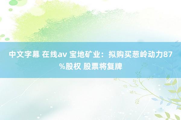 中文字幕 在线av 宝地矿业：拟购买葱岭动力87%股权 股票将复牌